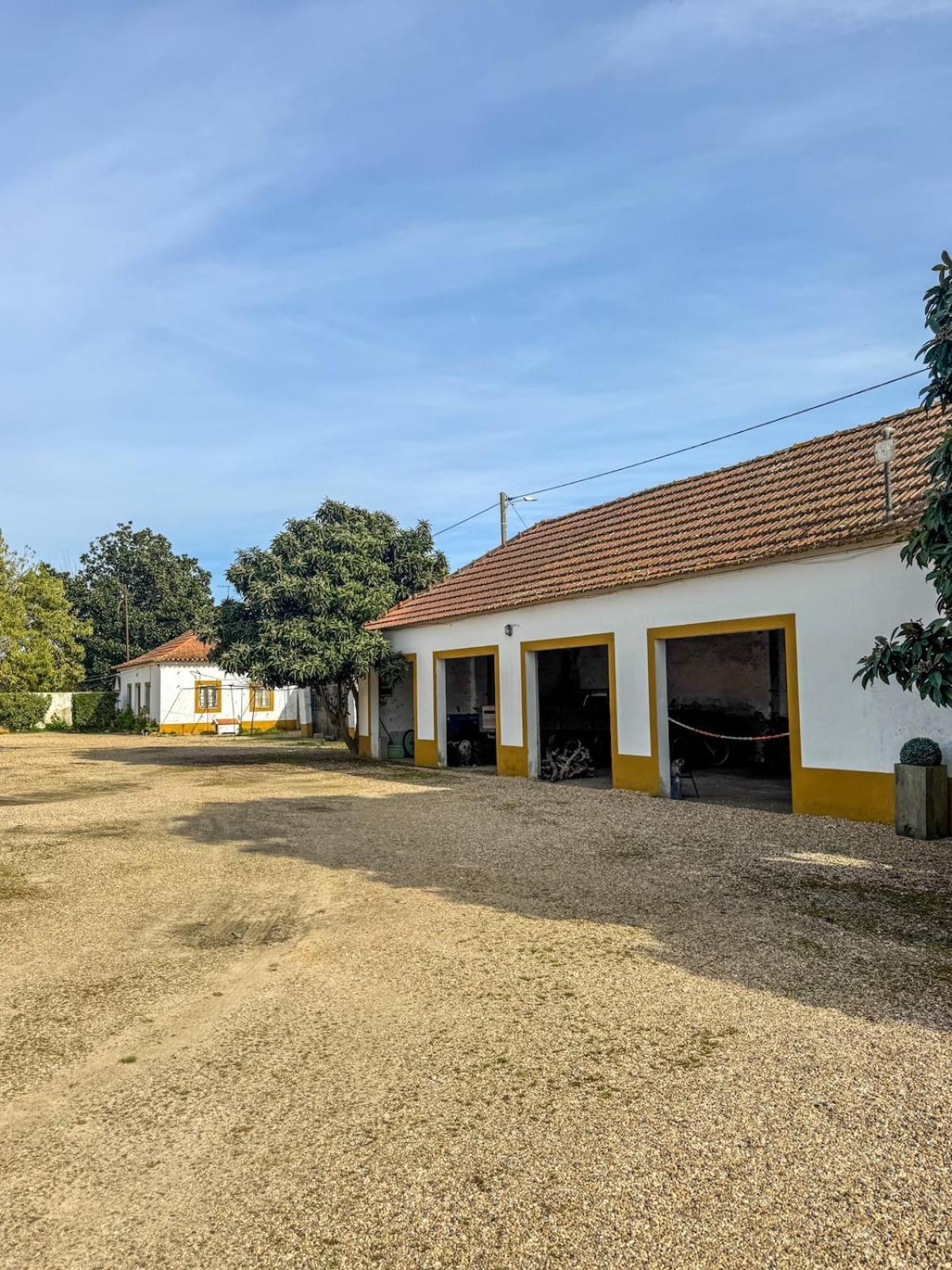 Quinta Do Casalinho - Benfica Do Ribatejo Villa Ngoại thất bức ảnh